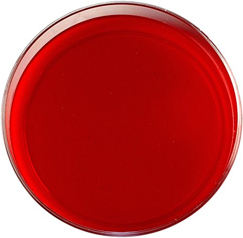 Condalab 0931 | Columbia with 5% Sheep Blood Agar Pack of 20 plates