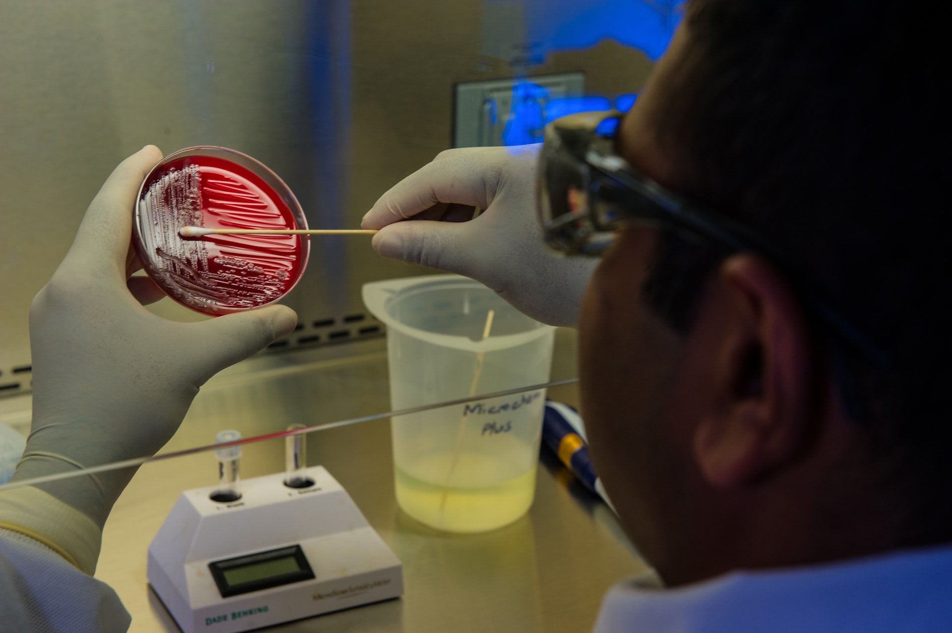 Decoding Microbial Metrics A Deep Dive into Microbiological Analysis Decoding Microbial Metrics A Deep Dive into Microbiological Analysis
