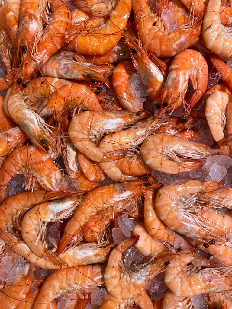 Nutritional feed alternatives for growth and productivity of shrimp