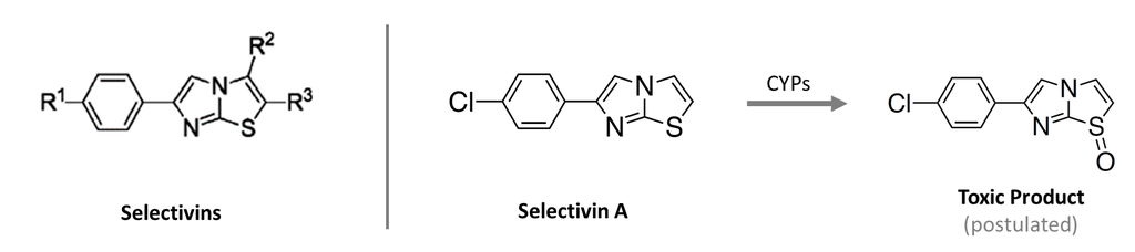 Selective Bioactivatable Nematicides for Crops