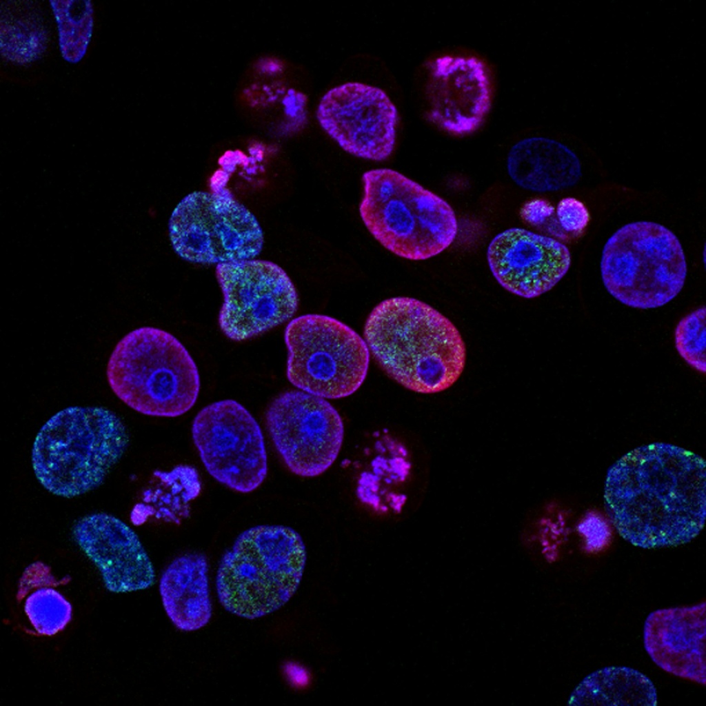 Generation of hematopoietic stem cells from embryonic stem cells