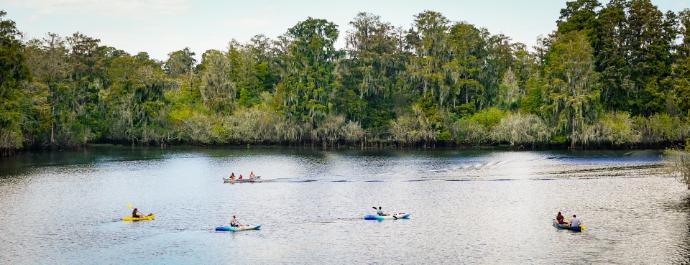 Using microalgal indicators to assess human-and climate-induced ecological change in estuaries