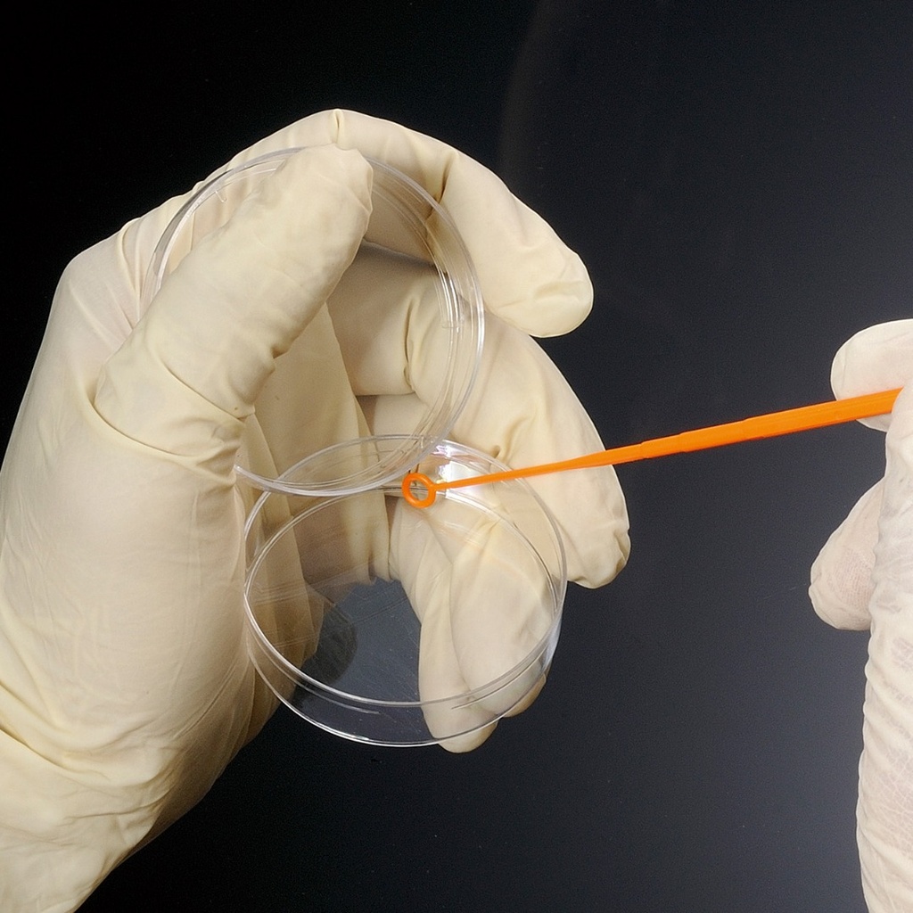 BIOLOGIX 10µl ORANGE POLYSTYRENE STERILE INOCULATING LOOPS.  FEATURES AN ULTRA-SMOOTH LOOP SURFACE.  PACKED IN A STERILE ZIP-SEAL BAG