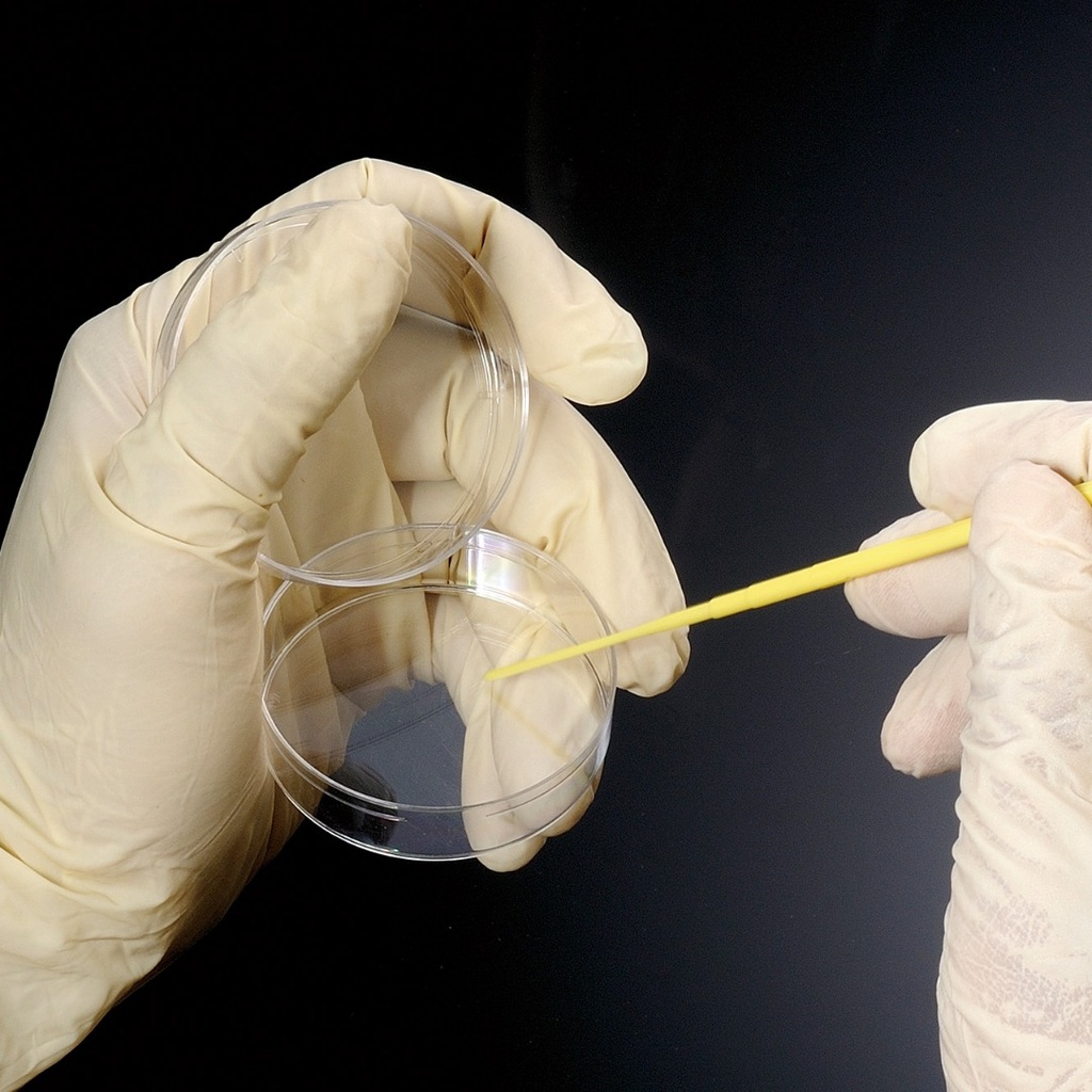 BIOLOGIX YELLOW POLYSTYRENE STERILE INOCULATING NEEDLES.  FEATURES AN ULTRA-SMOOTH SURFACE.  PACKED IN A STERILE ZIP-SEAL BAG