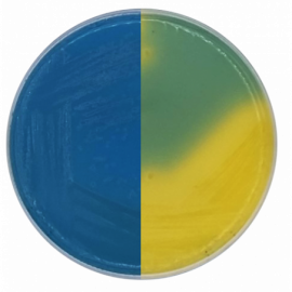 CLED Agar (Cystine Lactose Electrolyte Deficient)  500grams