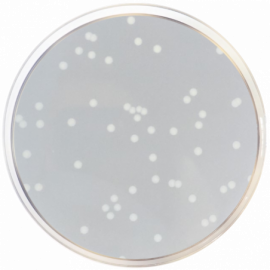 Nutrient Agar ISO 500grams