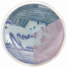 [1340] E. coli-Coliforms Chromogenic Medium 500grams